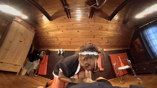 Naughty Cleaning Lady